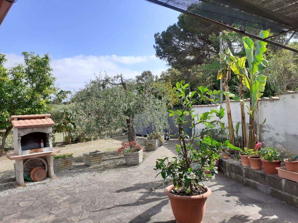 Gårdshus i Gavorrano, Grosseto - bilde 4
