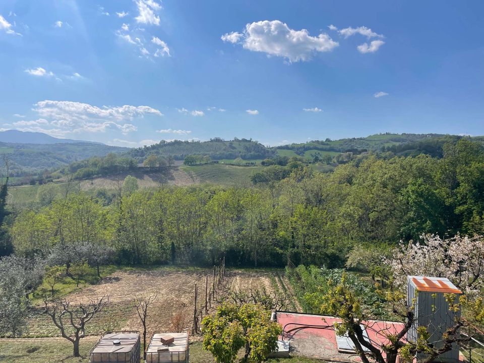 Country house in Sant'Angelo in Pontano, Macerata - photo 3