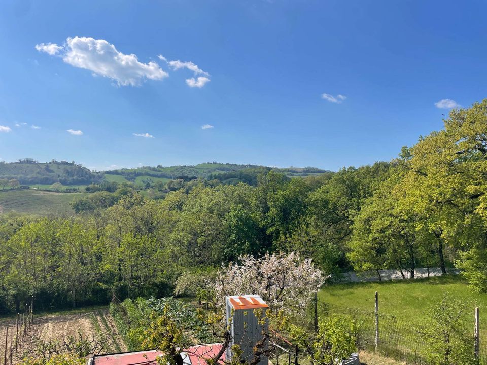 Country house in Sant'Angelo in Pontano, Macerata - photo 4