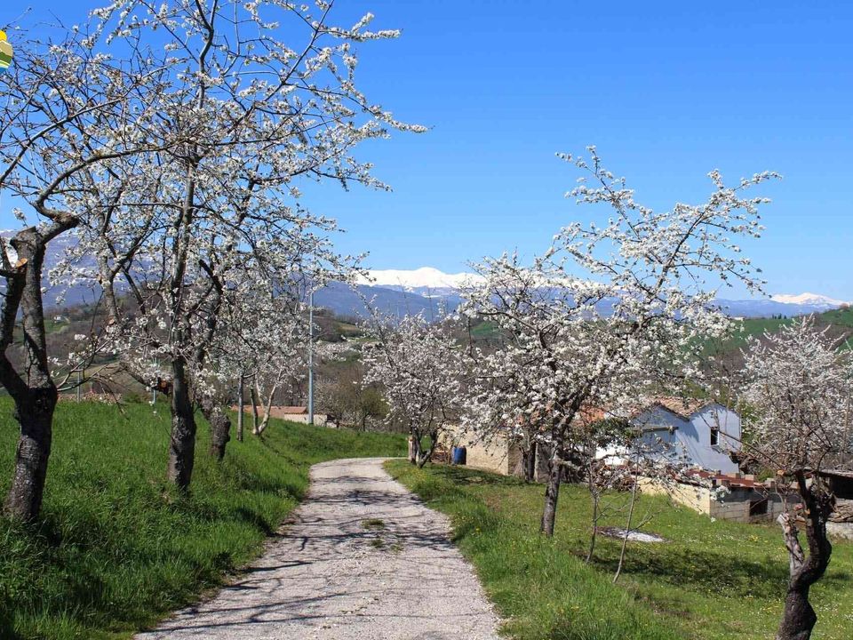 Villa i Castelli, Teramo - foto 5
