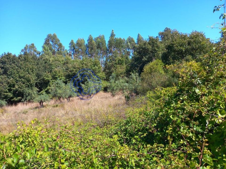 Helårsgrund i Ferreira do Zezere, Santarem - foto 1