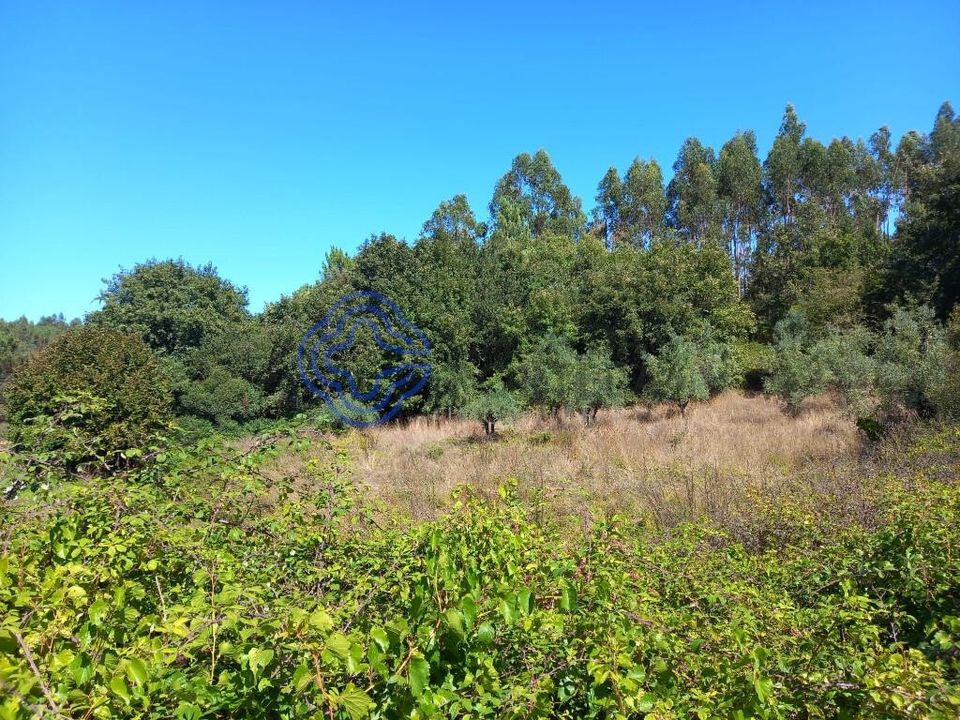 Helårsgrund i Ferreira do Zezere, Santarem - foto 2
