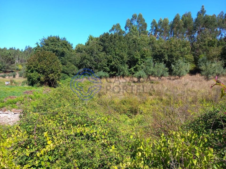 Helårsgrund i Ferreira do Zezere, Santarem - foto 3
