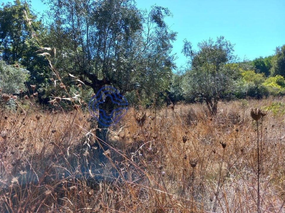Helårsgrund i Ferreira do Zezere, Santarem - foto 5