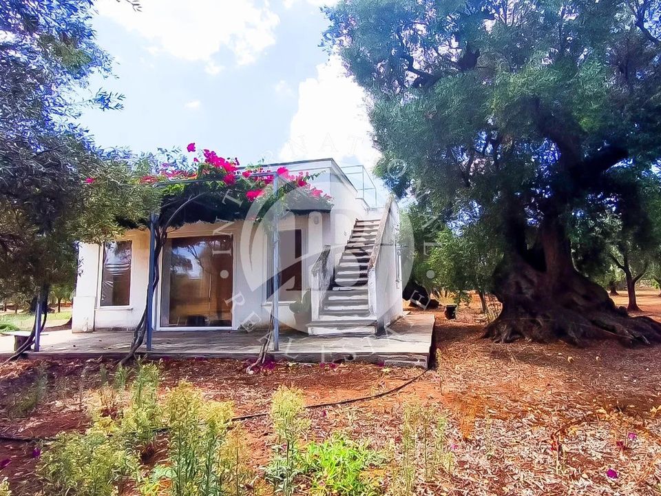 Villa i Fasano, Brindisi - foto 2