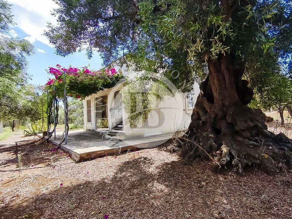 Villa i Fasano, Brindisi - foto 5
