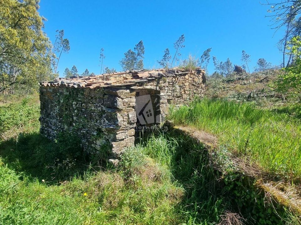 Helårsgrund i Castelo Branco, Castelo Branco - foto 4