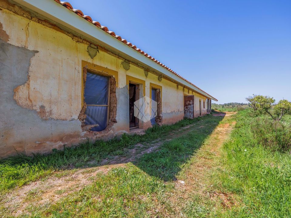 Farm hus i Boavista dos Pinheiros, Beja - foto 2