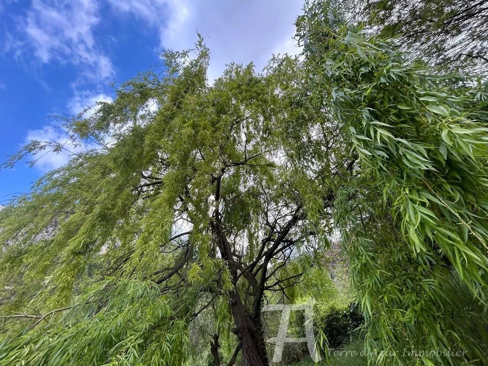 Tomt i Castellar, Alpes-Maritimes - bilde 2