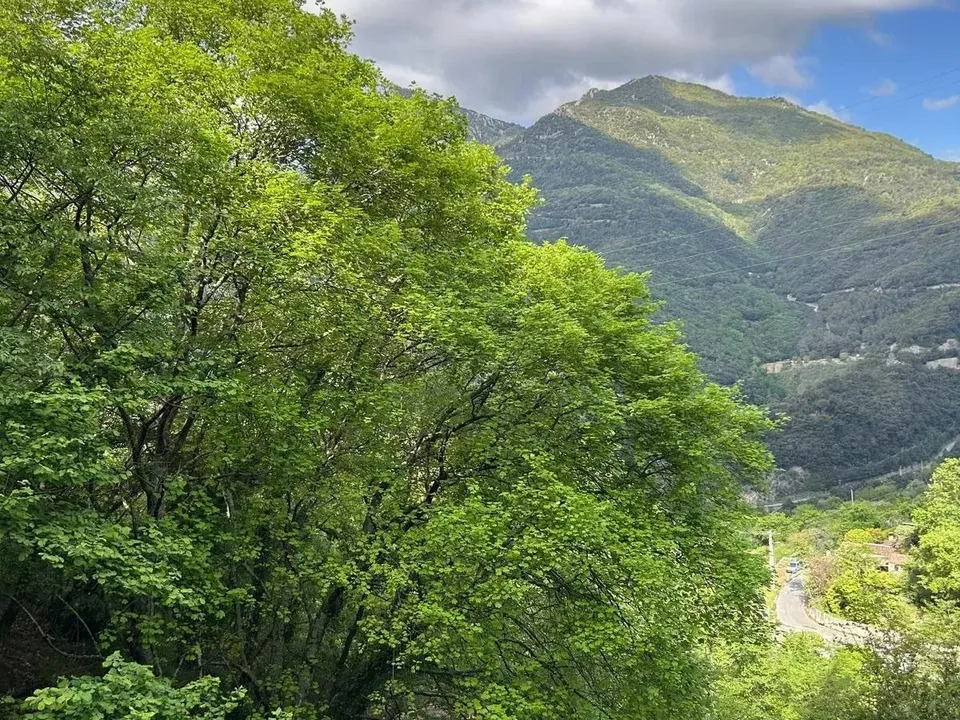 Tomt i Castellar, Alpes-Maritimes - bilde 3