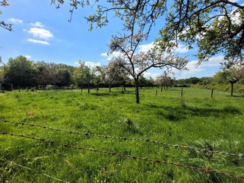 Villa i Argences, Calvados - foto 3