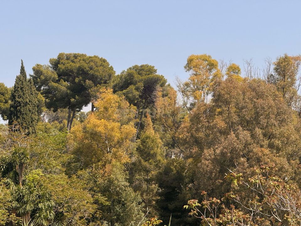 Helårsgrund i Malaga city, Malaga - foto 5