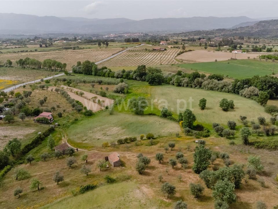 Helårsgrund i Belmonte, Castelo Branco - foto 4