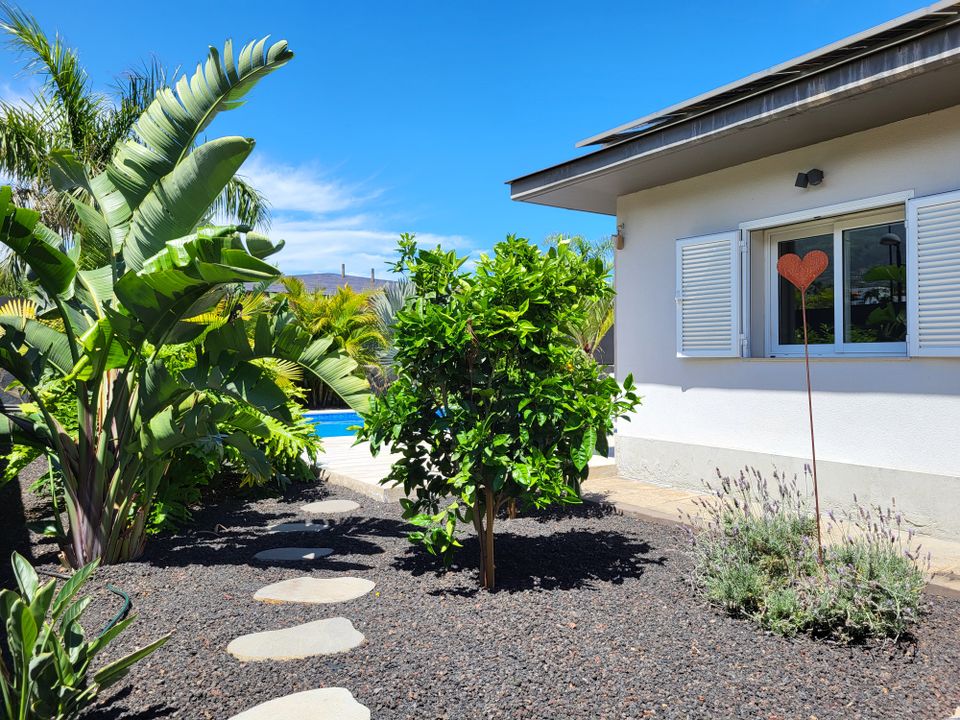 Villa i Puerto De La Cruz, Tenerife - foto 3