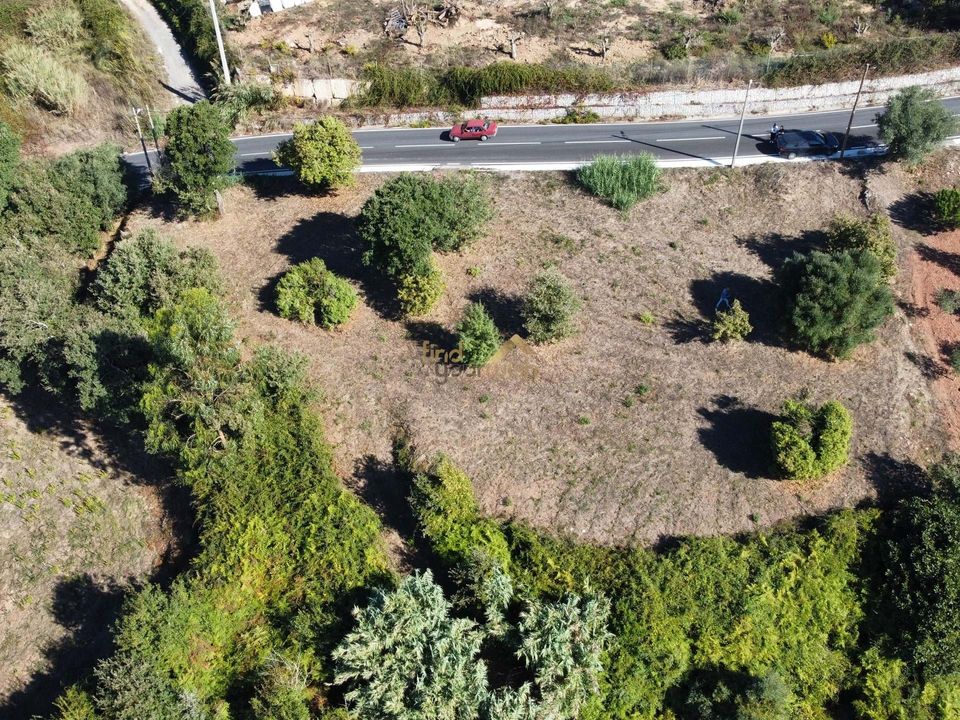Terreno en Alcobaca, Leiria - foto 1