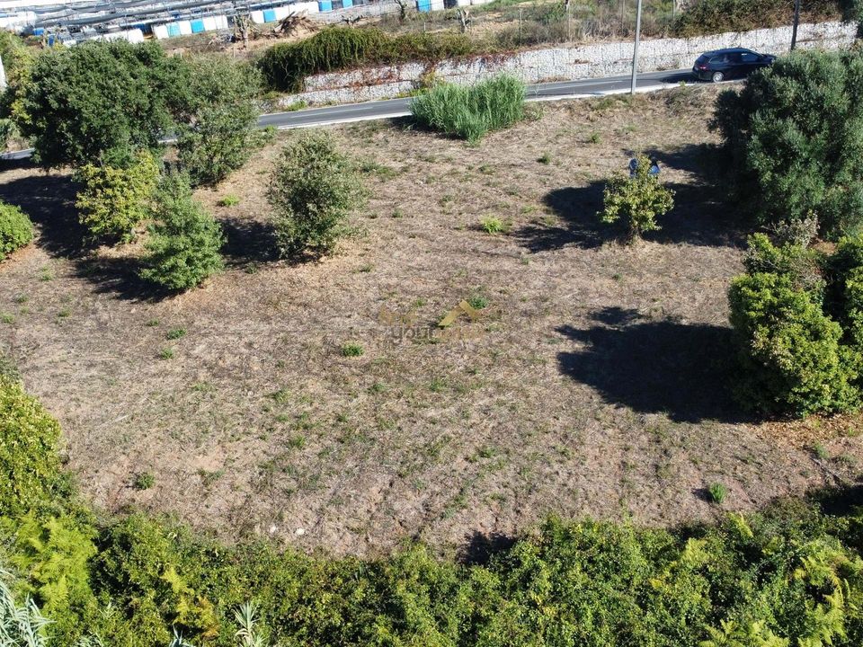 Terreno en Alcobaca, Leiria - foto 3
