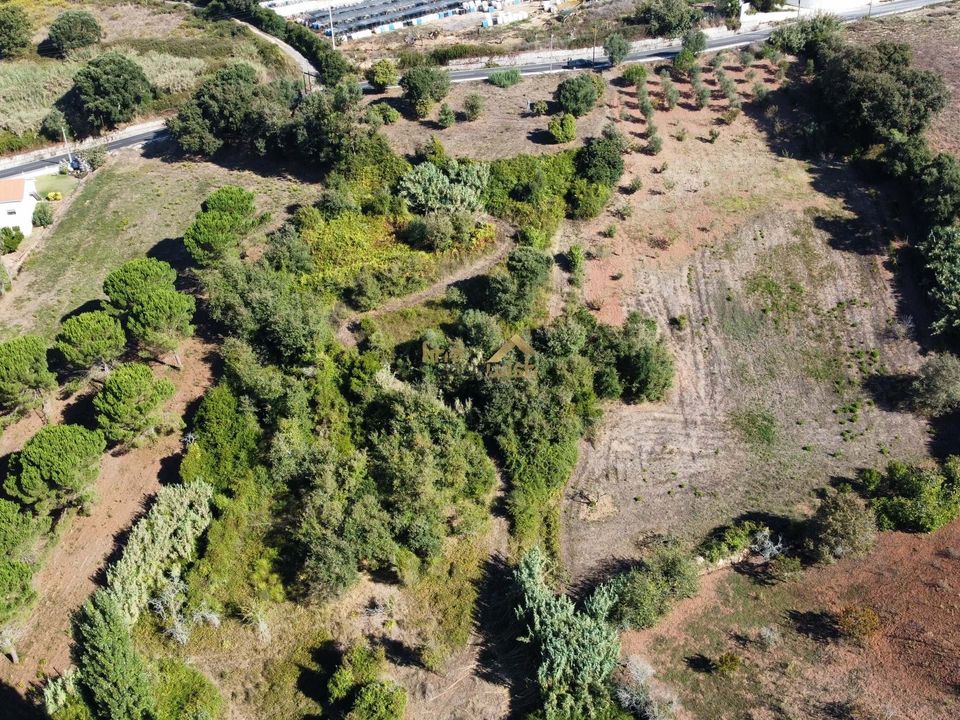 Terreno en Alcobaca, Leiria - foto 4