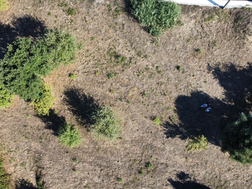 Terreno en Alcobaca, Leiria - foto 5