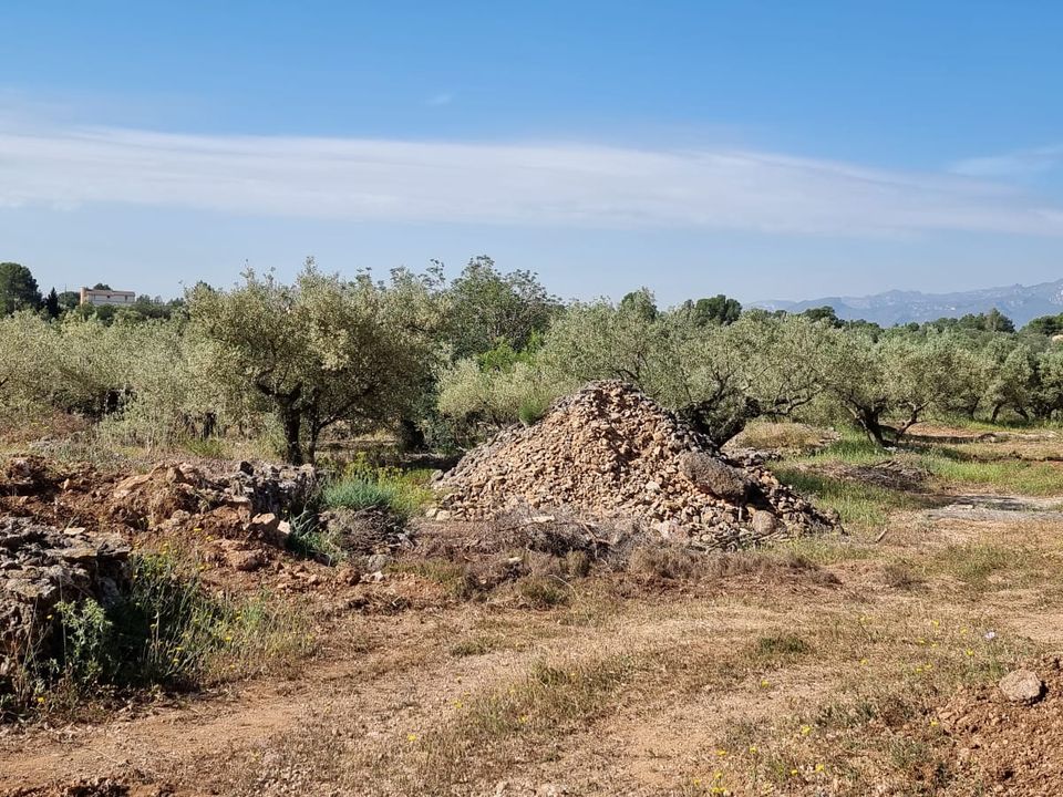 Finca i Els Reguers, Tarragona - foto 5