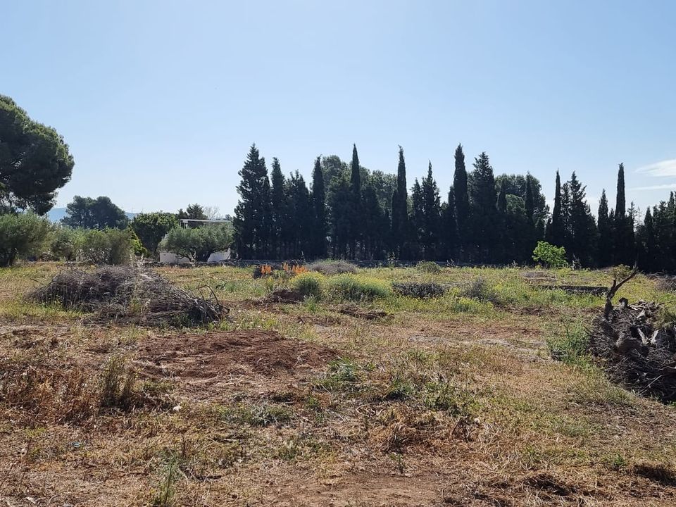Finca i Els Reguers, Tarragona - foto 4