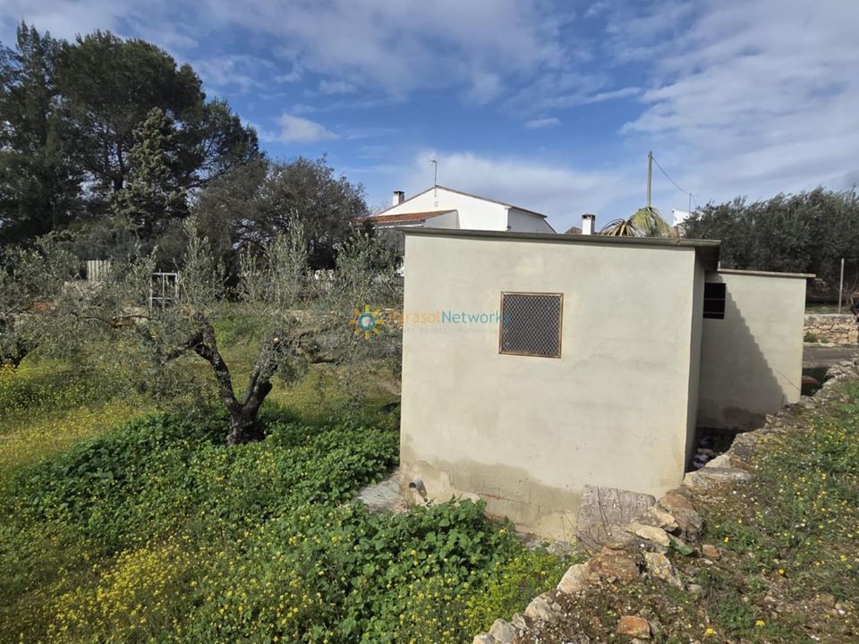 Helårsgrund i Beniganim, Valencia - foto 2