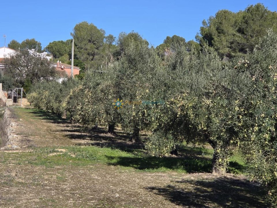 Helårsgrund i Beniganim, Valencia - foto 5