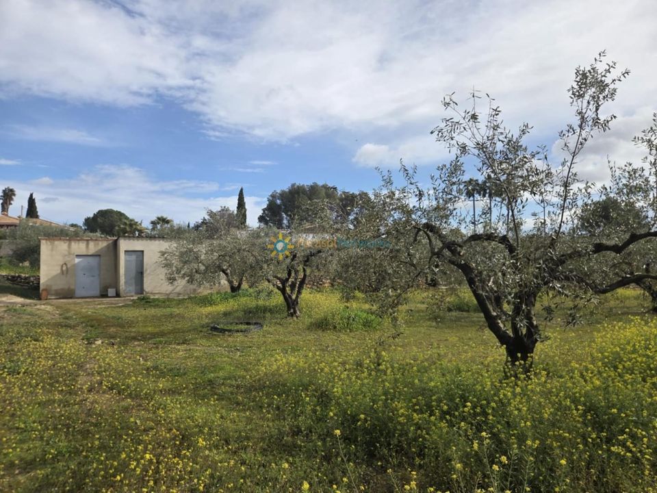 Helårsgrund i Beniganim, Valencia - foto 1