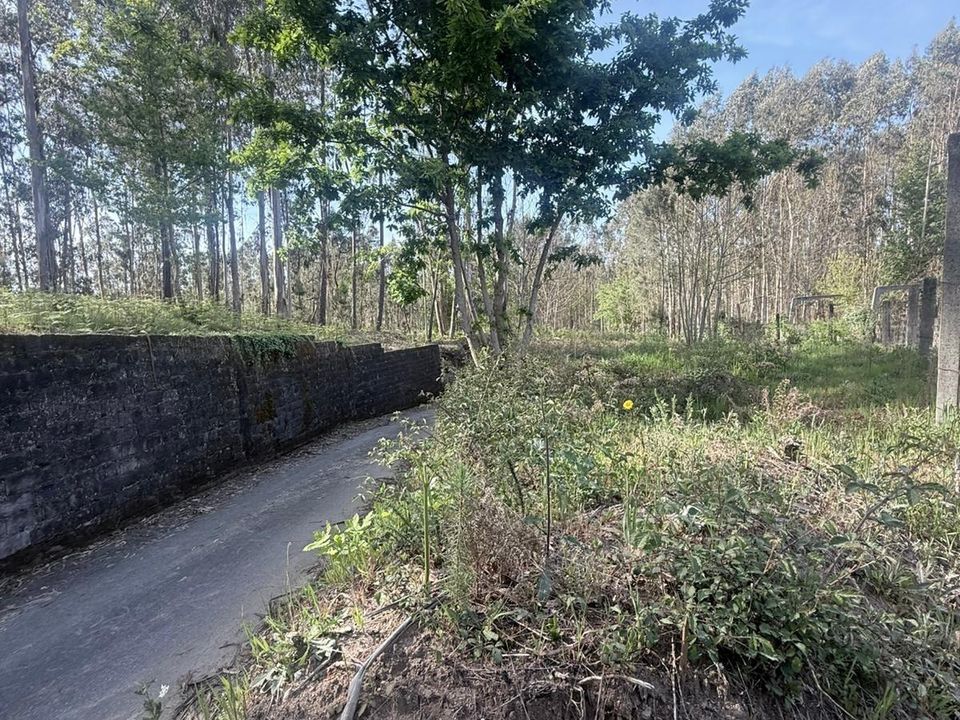 Helårsgrund i Ponte de Lima, Viana do Castelo - foto 1