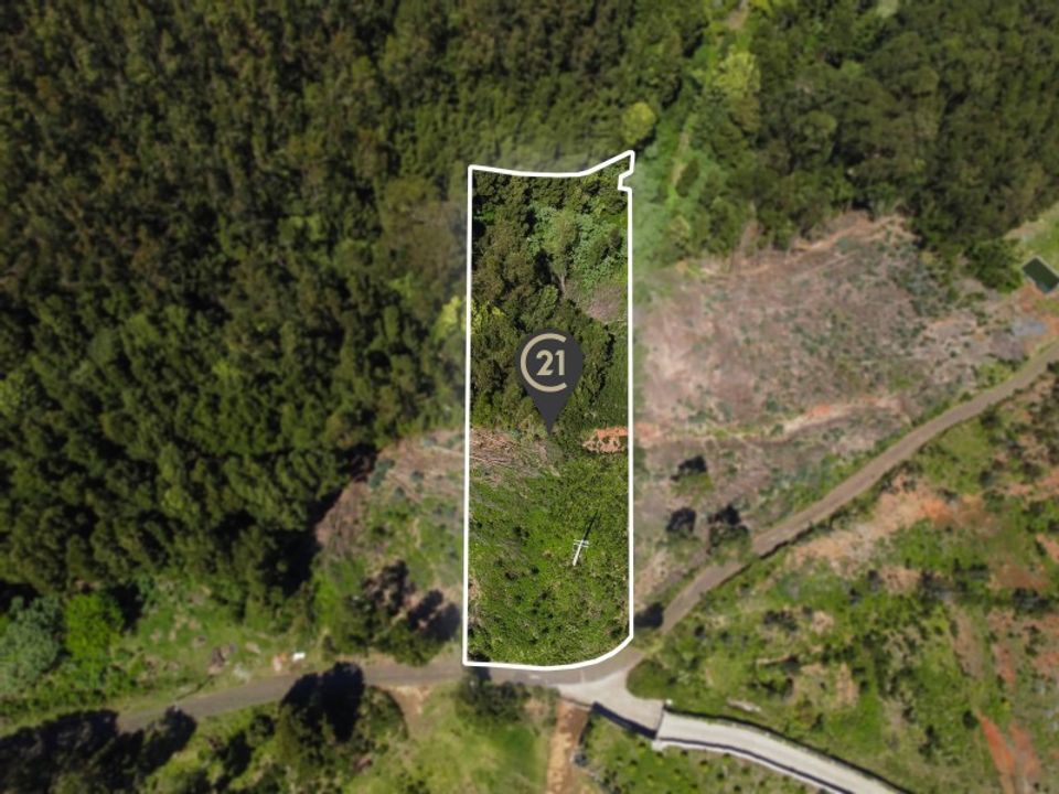 Tomt i Gaula, Madeira - bilde 1