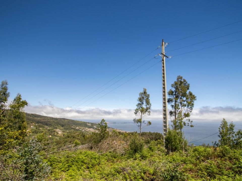 Tomt i Gaula, Madeira - bilde 2