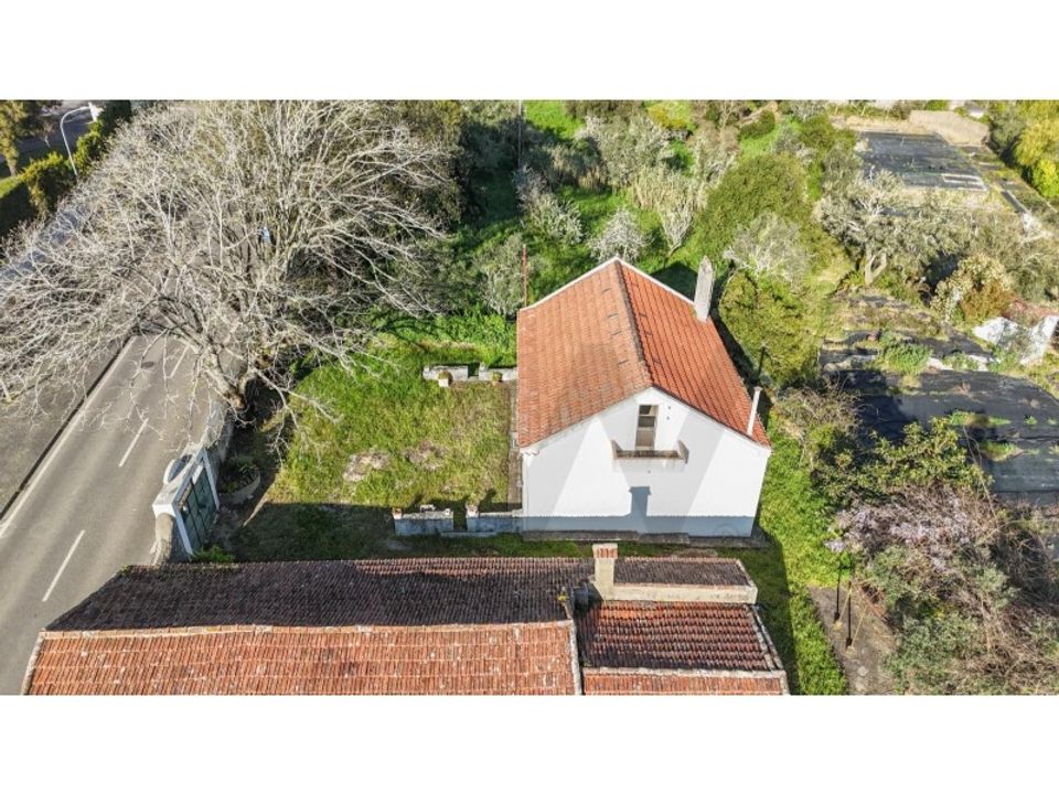 Farm i Sintra, Lisbon - foto 2