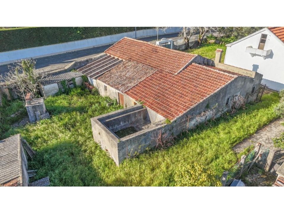 Farm i Sintra, Lisbon - foto 4