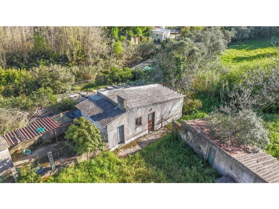Farm i Sintra, Lisbon - foto 5
