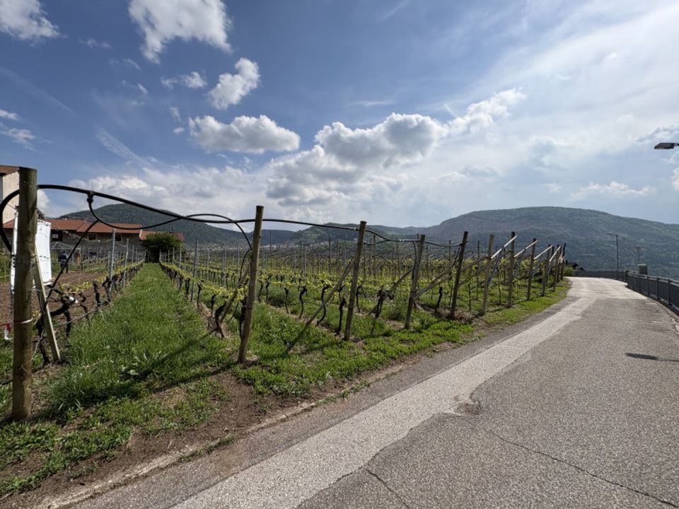 Helårsgrund i Cembra Lisignago, Trento - foto 2