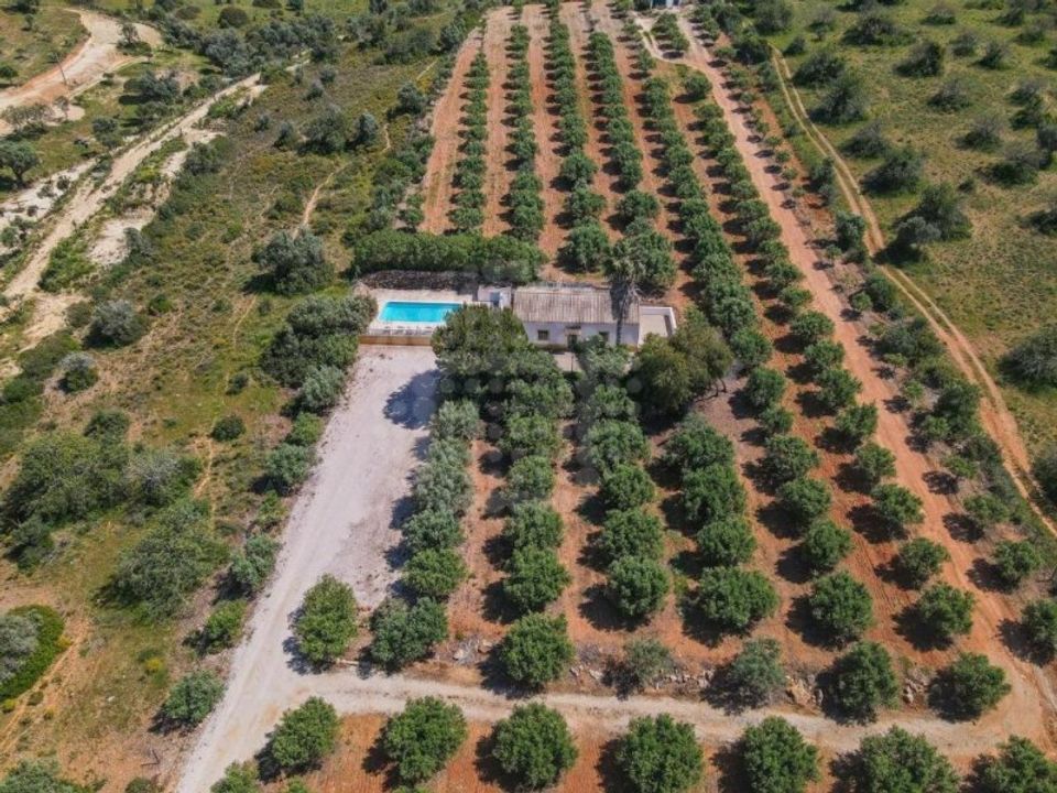 Farm i Carvoeiro, Faro - foto 3
