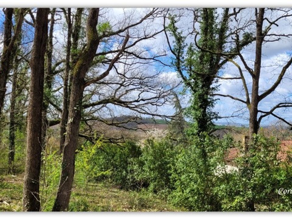 Villa i Astaffort, Lot-et-Garonne - bilde 3
