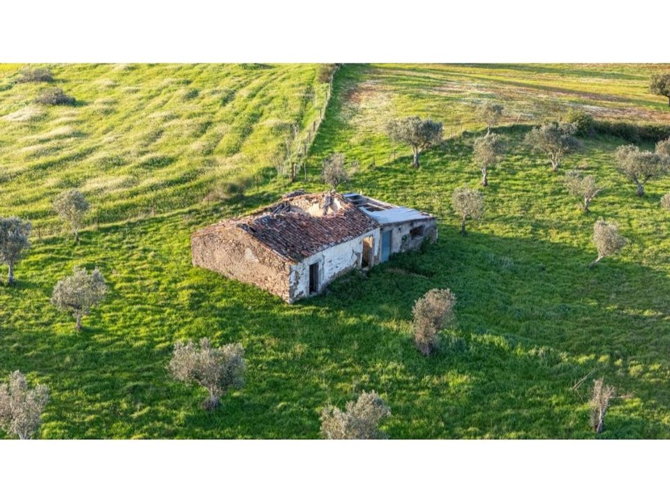 Helårsgrund i Nisa, Portalegre - foto 3