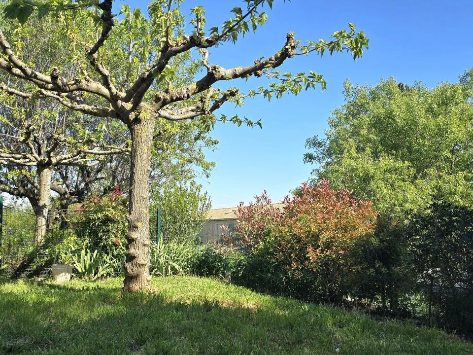 Villa i Reillanne, Alpes-de-Haute-Provence - foto 3