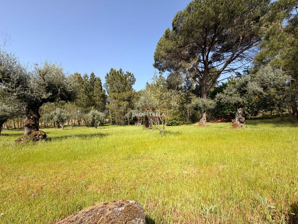 Farm i Seia, Guarda - foto 2