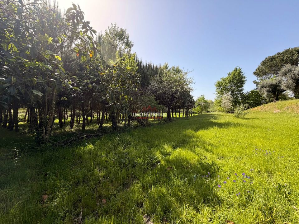 Farm i Seia, Guarda - foto 1