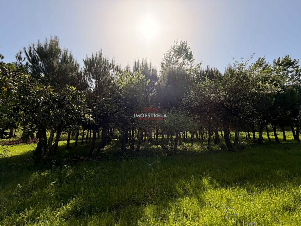 Farm i Seia, Guarda - foto 3