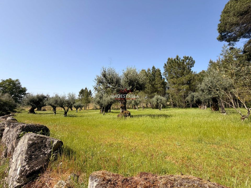 Farm i Seia, Guarda - foto 5