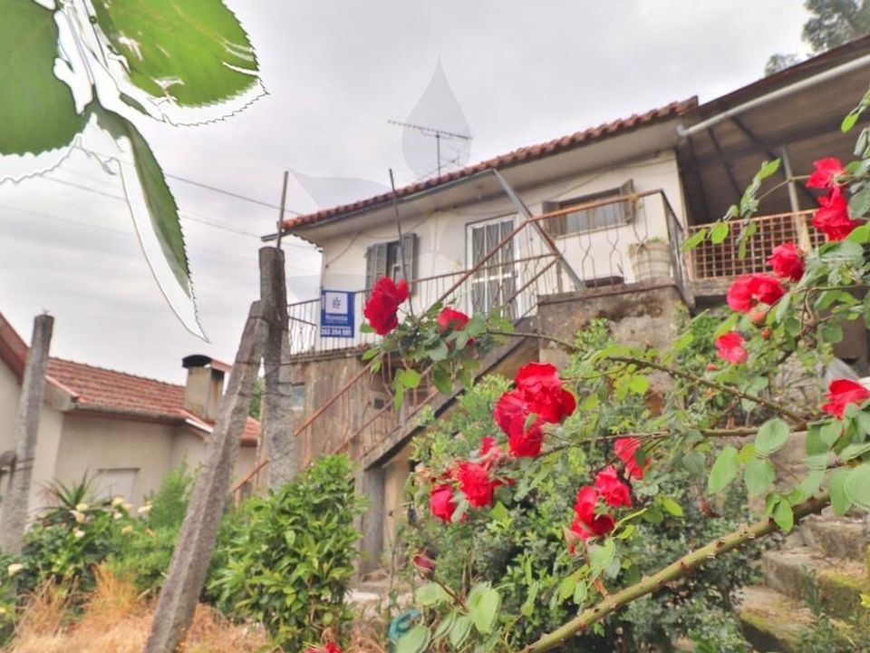Farm i Braga, Braga - foto 1