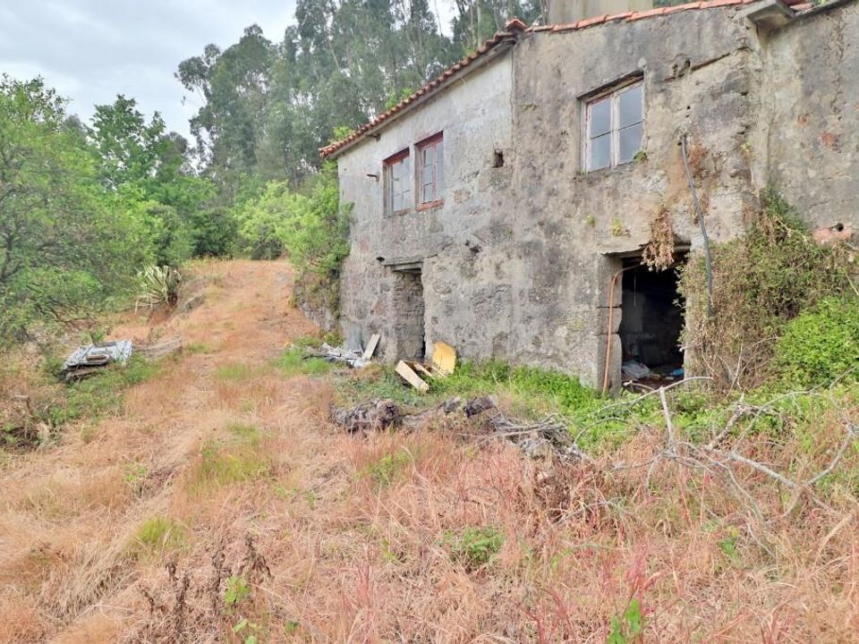 Farm i Braga, Braga - foto 2