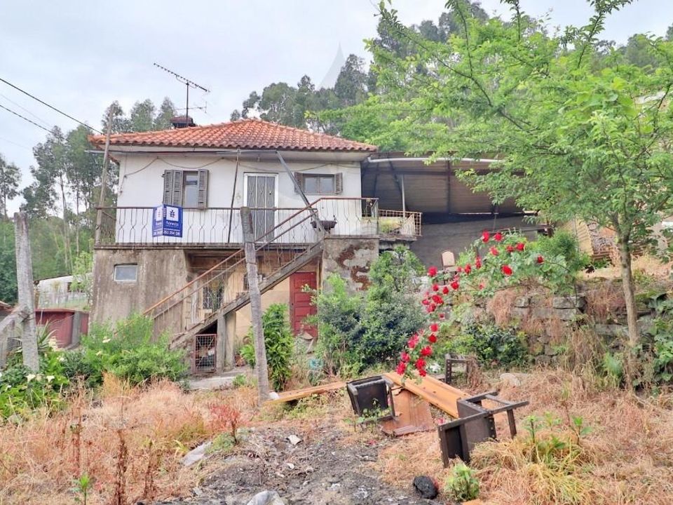 Farm i Braga, Braga - foto 3