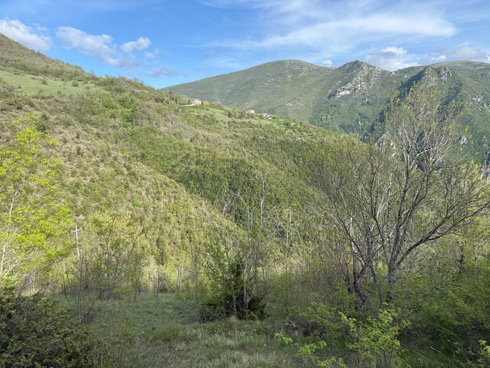 Terra a Cerreto di Spoleto, Perugia - foto 3