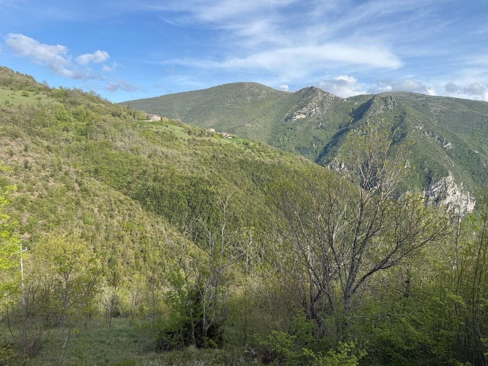 Terra a Cerreto di Spoleto, Perugia - foto 4