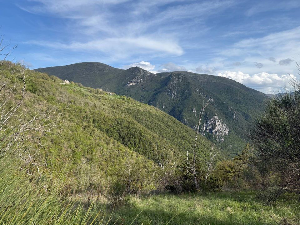 Terra a Cerreto di Spoleto, Perugia - foto 5