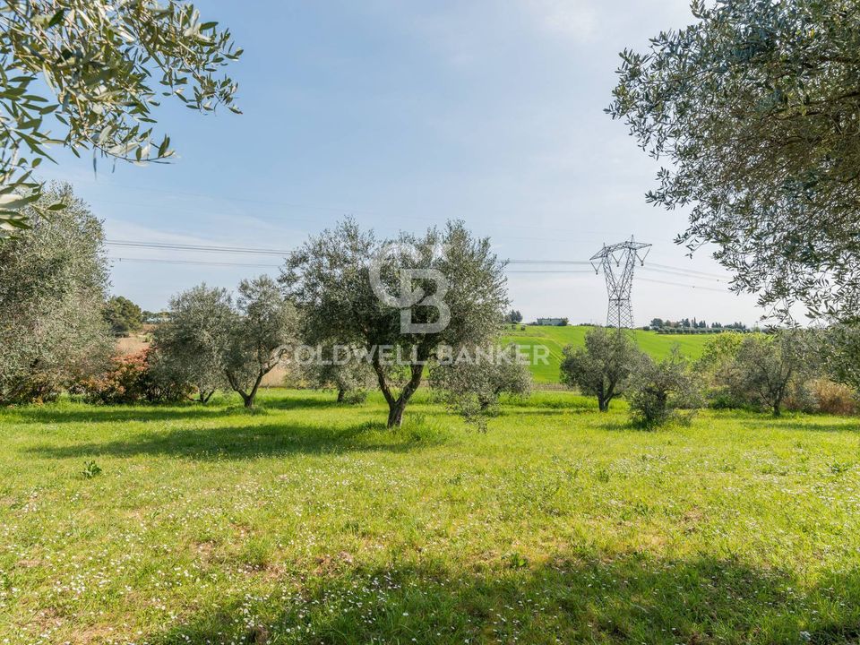 Villa i Misano Adriatico, Rimini - foto 5
