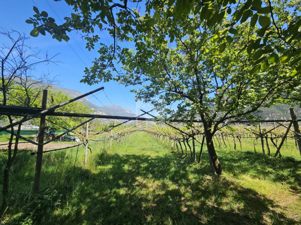 Helårsgrund i Arco, Trento - foto 2